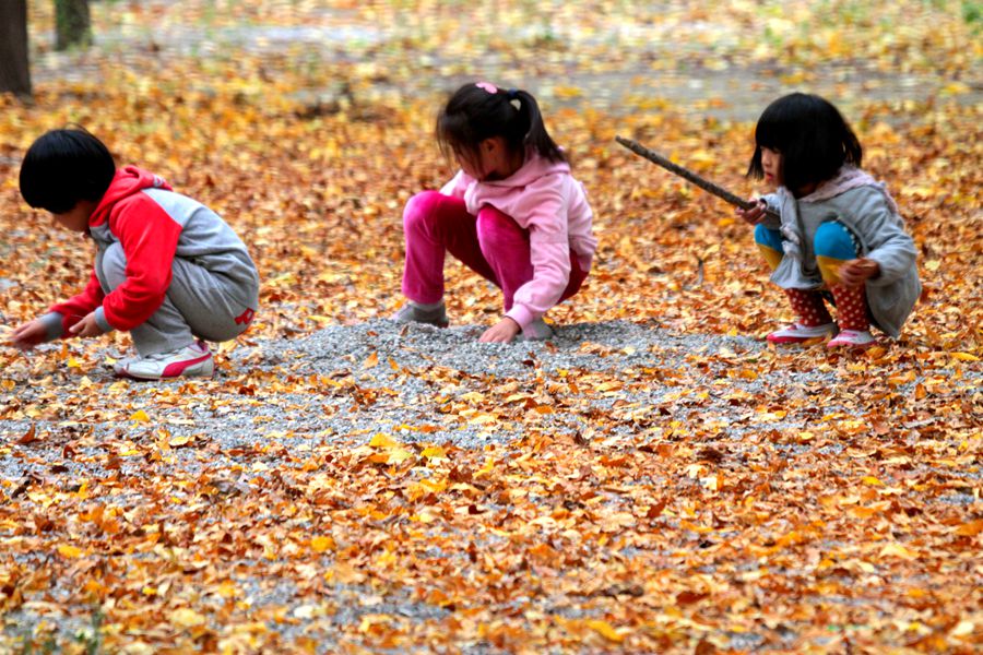 Charming autumn scenery in Beijing