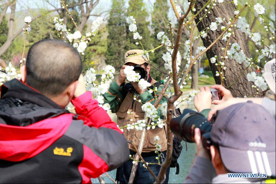 Spring scenery in Beijing's Summer Palace