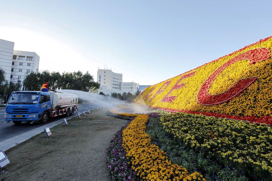 Flower decorations for APEC seen around Beijing