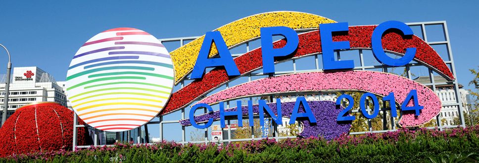 Flower decorations for APEC seen around Beijing
