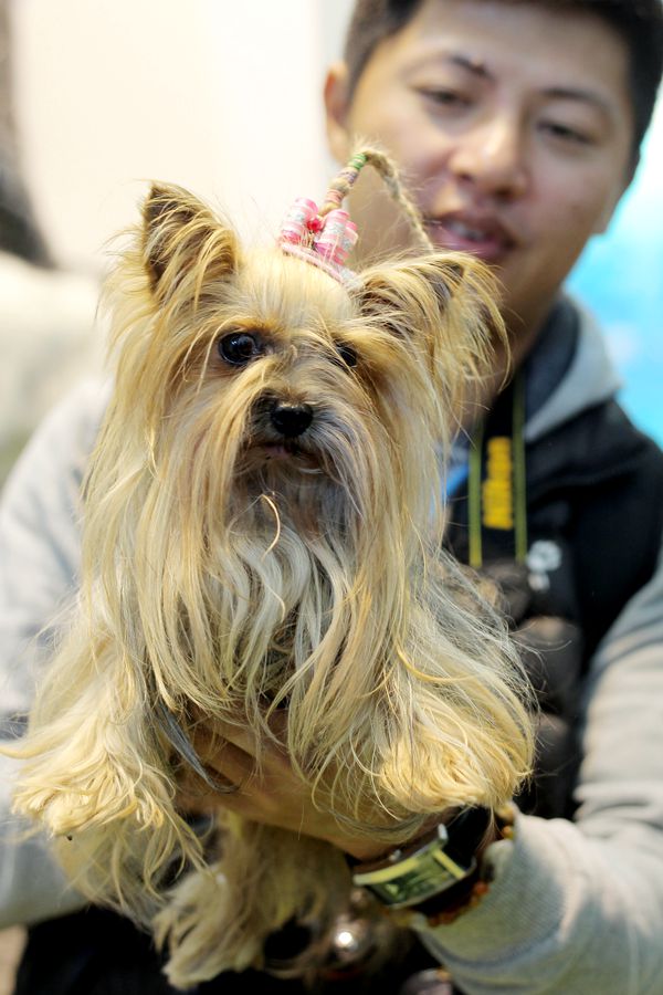 China International Pet Show opens in Beijing