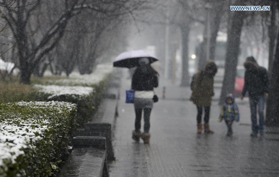 Snowfall hits Beijing amid Spring Festival