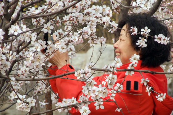 Top 10 places to see spring flowers in Beijing