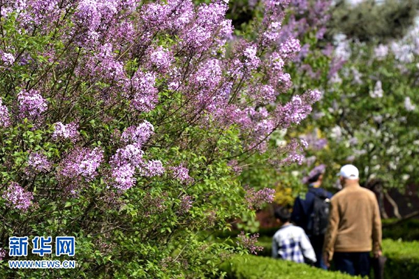 Top 10 places to see spring flowers in Beijing