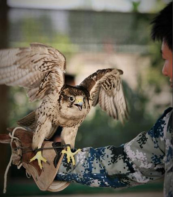 All creatures great and small help keep V-Day parade safe