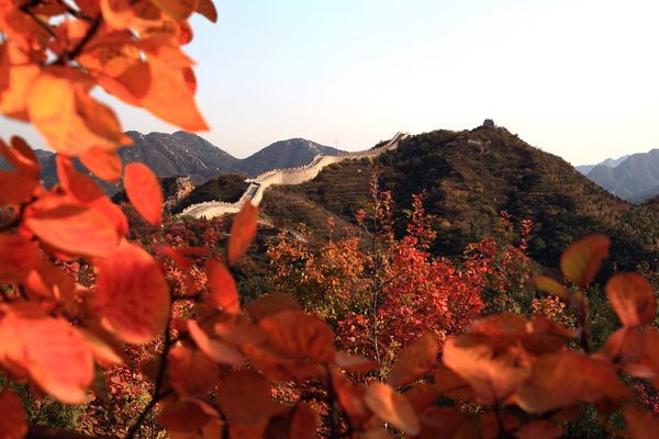 Best travel route at the Badaling National Forest Park