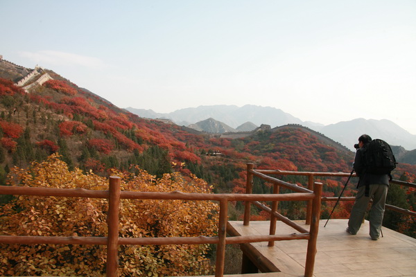 Tips for photography at the Badaling National Forest Park