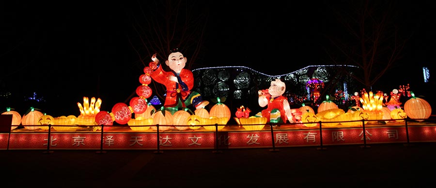 Lanterns light up Beijing rose park for Spring Festival