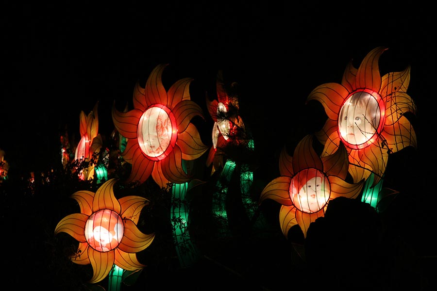 Lanterns light up Beijing rose park for Spring Festival