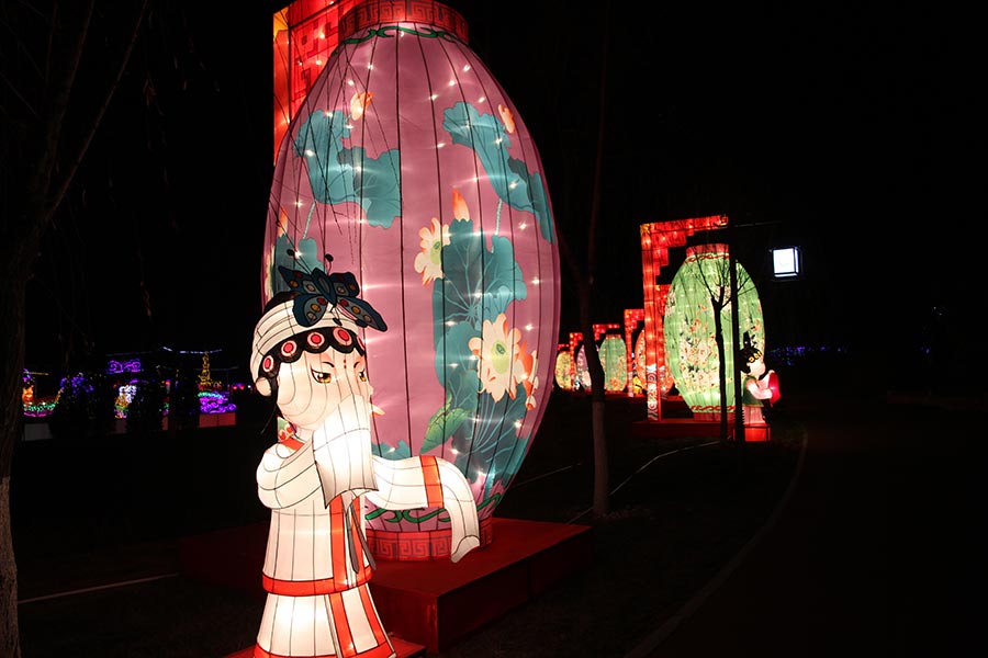 Lanterns light up Beijing rose park for Spring Festival