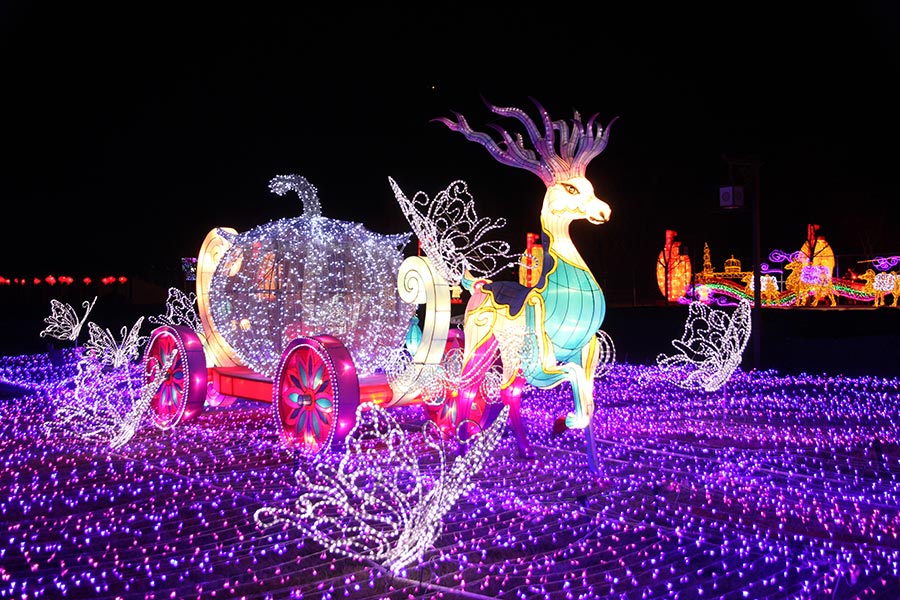 Lanterns light up Beijing rose park for Spring Festival