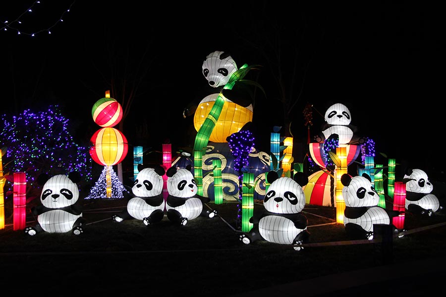 Lanterns light up Beijing rose park for Spring Festival