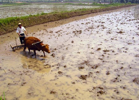 Measures taken to increase arable land