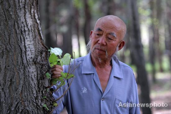 Tree planter turns barren hill green