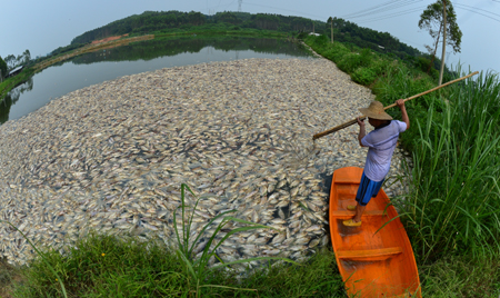 Water plan to take effect by 2012