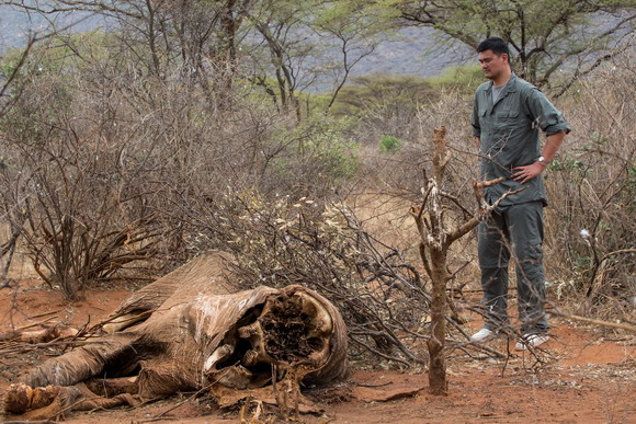 Wildlife preservation plan struck with Kenya