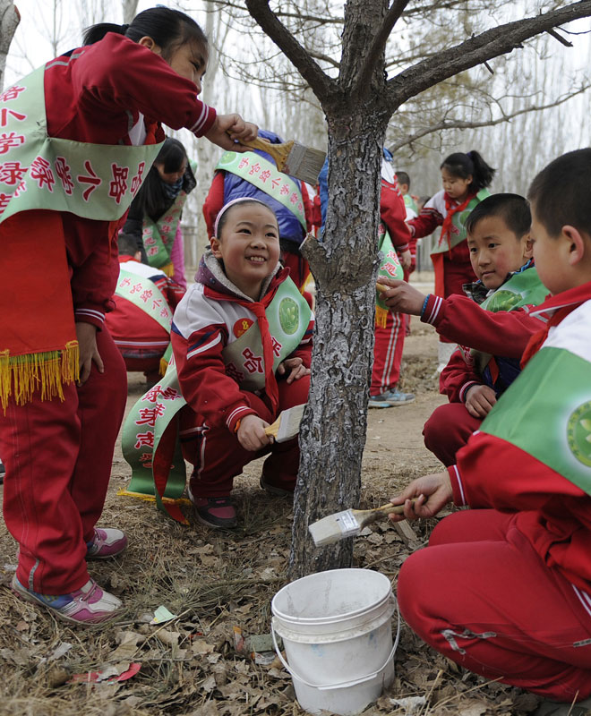 Tree planting boosts China's green drive