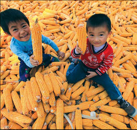 Photos for China's 10 years in WTO