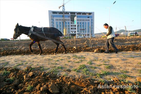 Arable land reserves continue to decline