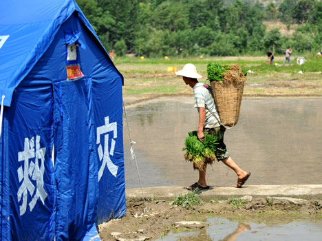 No time to grieve for busy farmers