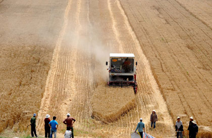 Bumper harvest reassures food safety