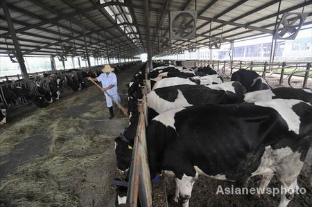 Can China's dairy sector win back customer confidence?