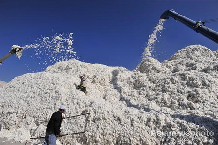 Agriculture: Xinjiang's cotton growers face sluggish market