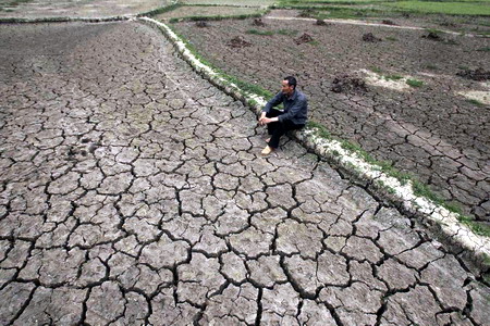 Sugar shares sweeten on drought