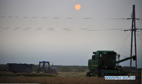 Autumn harvest in NE China's major rice producing province