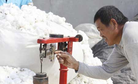 Shandong farmers harvest and sell cotton balls