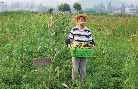 Food safety concerns drive Chinese back to the farm