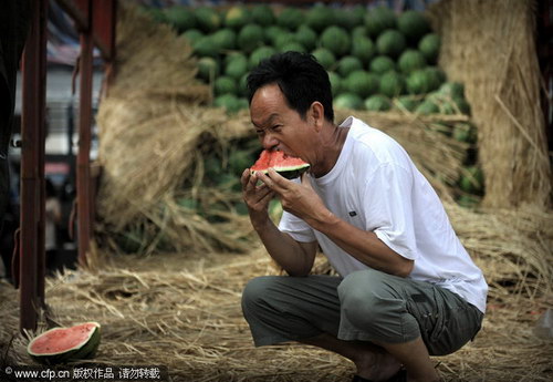 Watermelons hard to be sold, but to spoil