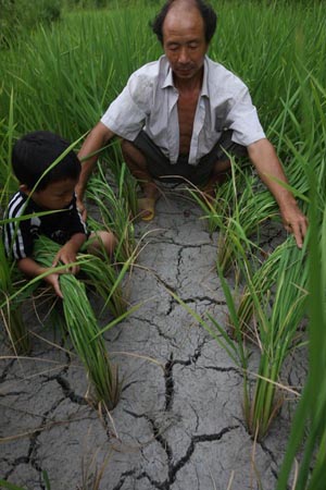 Severe drought brings misery to Hunan province