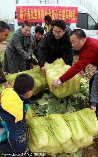 Cabbage purchasing team helps farmers with predicament