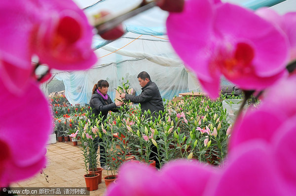 Flower exhibition makes 20m yuan per day