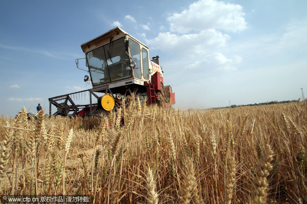 Eighth consecutive yearly increase in grain output