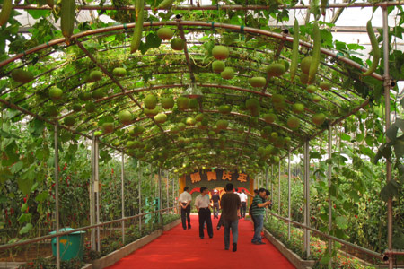 Shouguang Vegetable Hi-tech Model Park