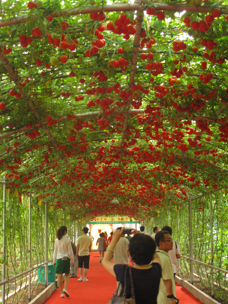 Shouguang Vegetable Hi-tech Model Park