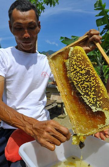 Beekeepers honey causes a buzz