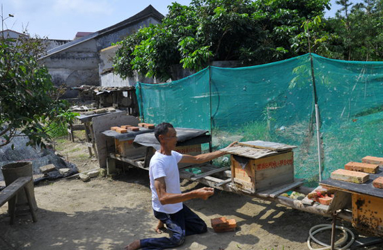 Beekeepers honey causes a buzz