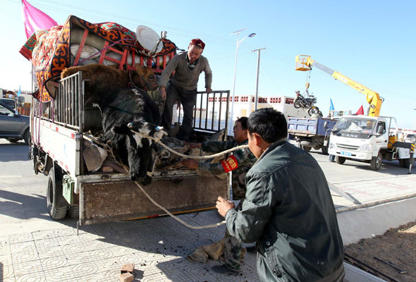 Xinjiang herdsmen move house