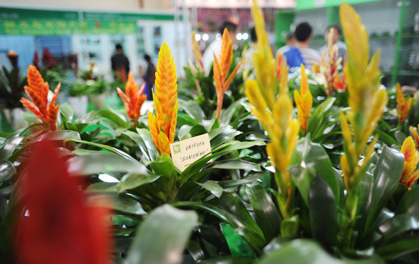 Flower fair brings fragrant business to Beijing