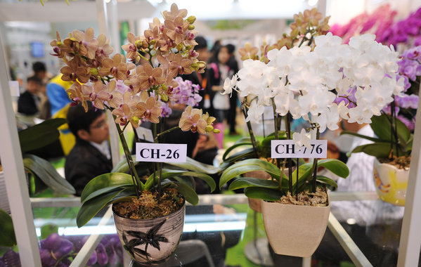 Flower fair brings fragrant business to Beijing