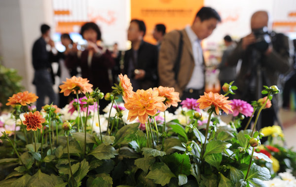 Flower fair brings fragrant business to Beijing