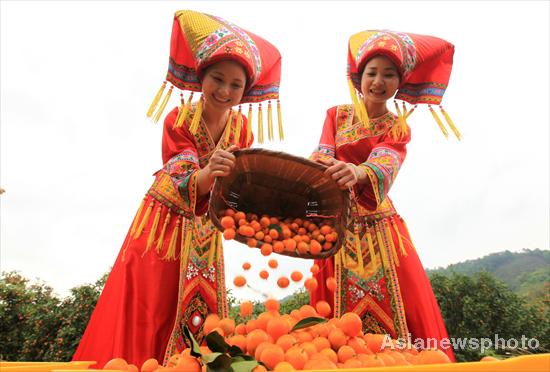 Kumquat season arrives in Liuzhou