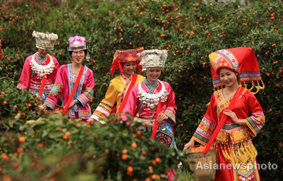 Kumquat season arrives in Liuzhou