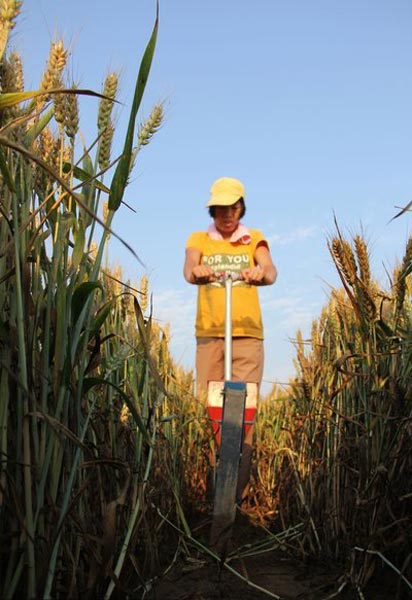 Seeding for a future harvest