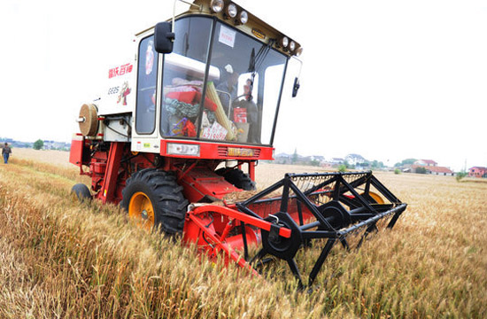 Chinese farmers reaping a harvest