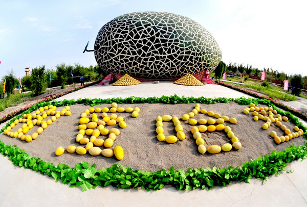 Xinjiang's honey tour treats you to Hami melon