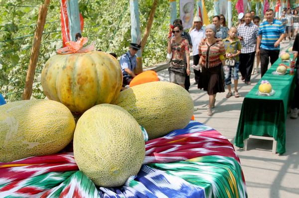 Xinjiang's honey tour treats you to Hami melon